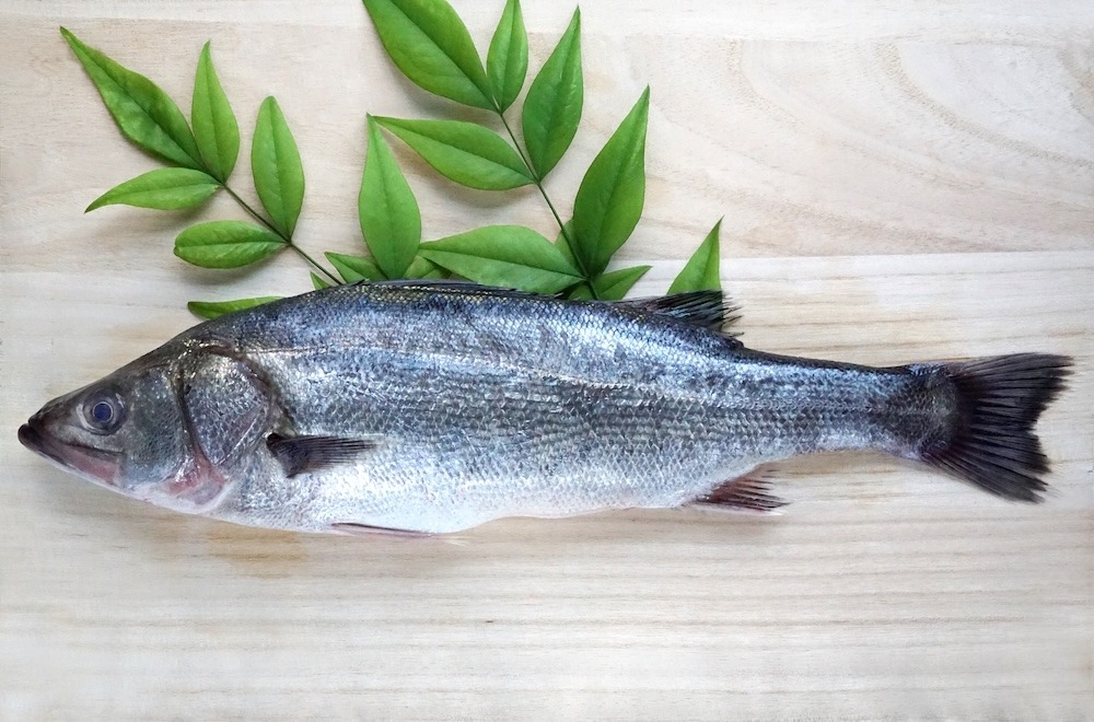 スズキ|夏に味がよくなる代表的な白身魚