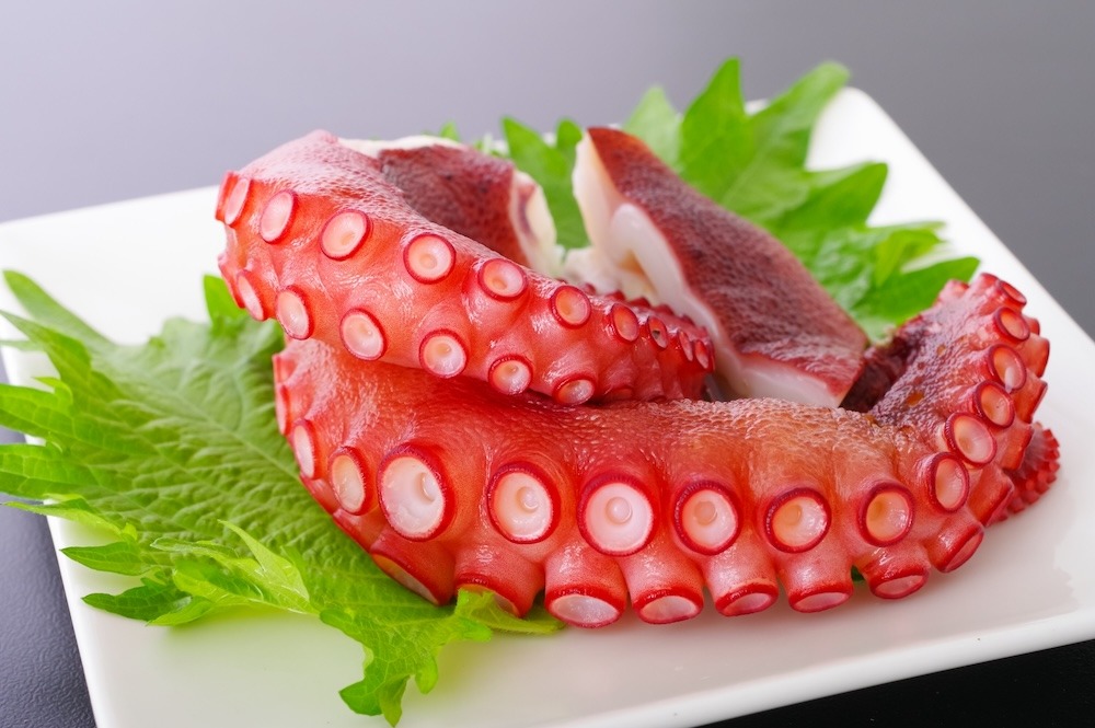 マダコ|夏に味わいたい人気の魚介