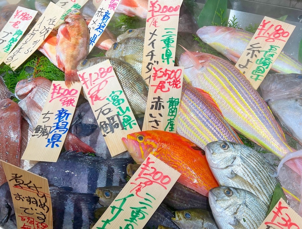 そもそも魚の「旬」とは?
