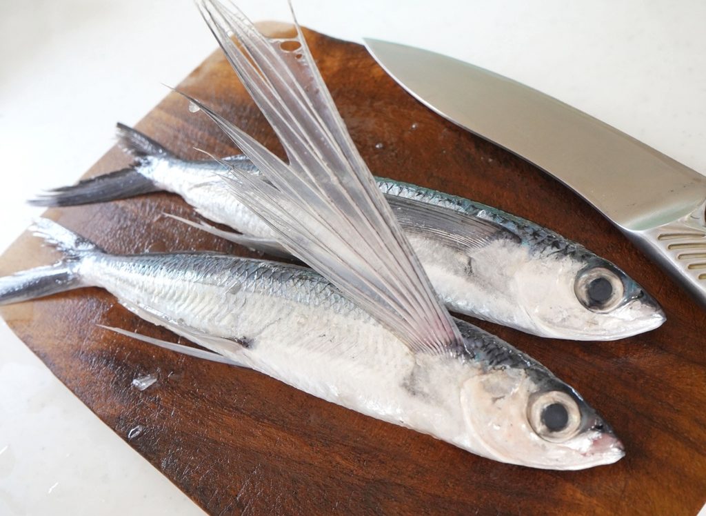トビウオ|初夏から夏に味わいたい爽やかな魚