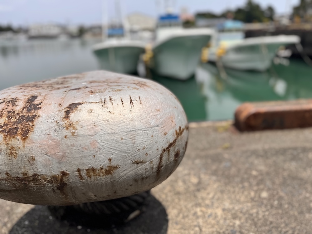 海釣り初心者におすすめの釣り場3選