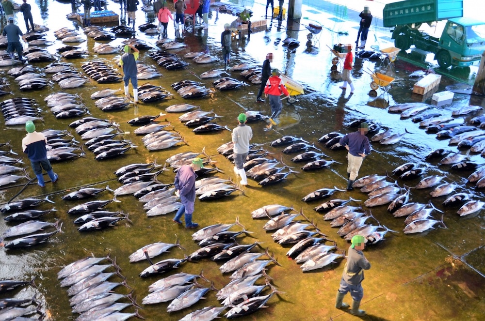 日本でのマグロの消費量はどれくらいか知ってる?