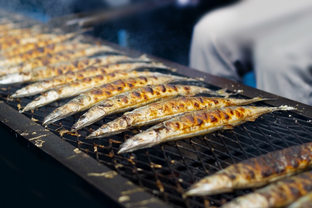秋に「旬」を迎える魚ってどうしておいしいの?