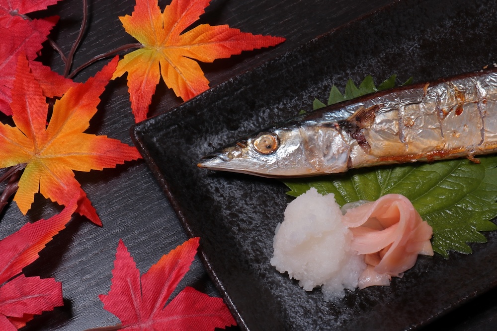 漁師ならこれを食べる！「秋が旬の魚」スーパーで買えるものを厳選