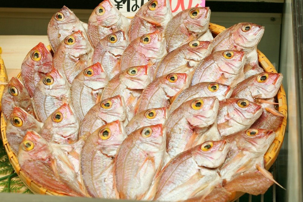 関西ならでは!「明石の鯛」は秋にも美味しい
