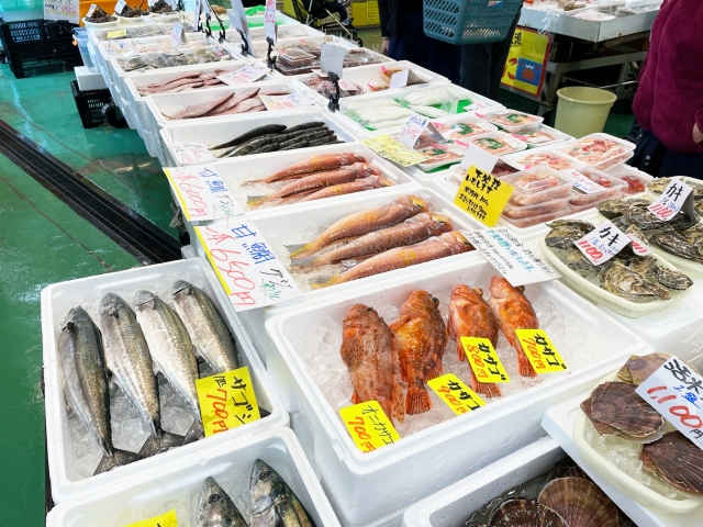 サゴシの成長ごとの呼び名(エリア別)