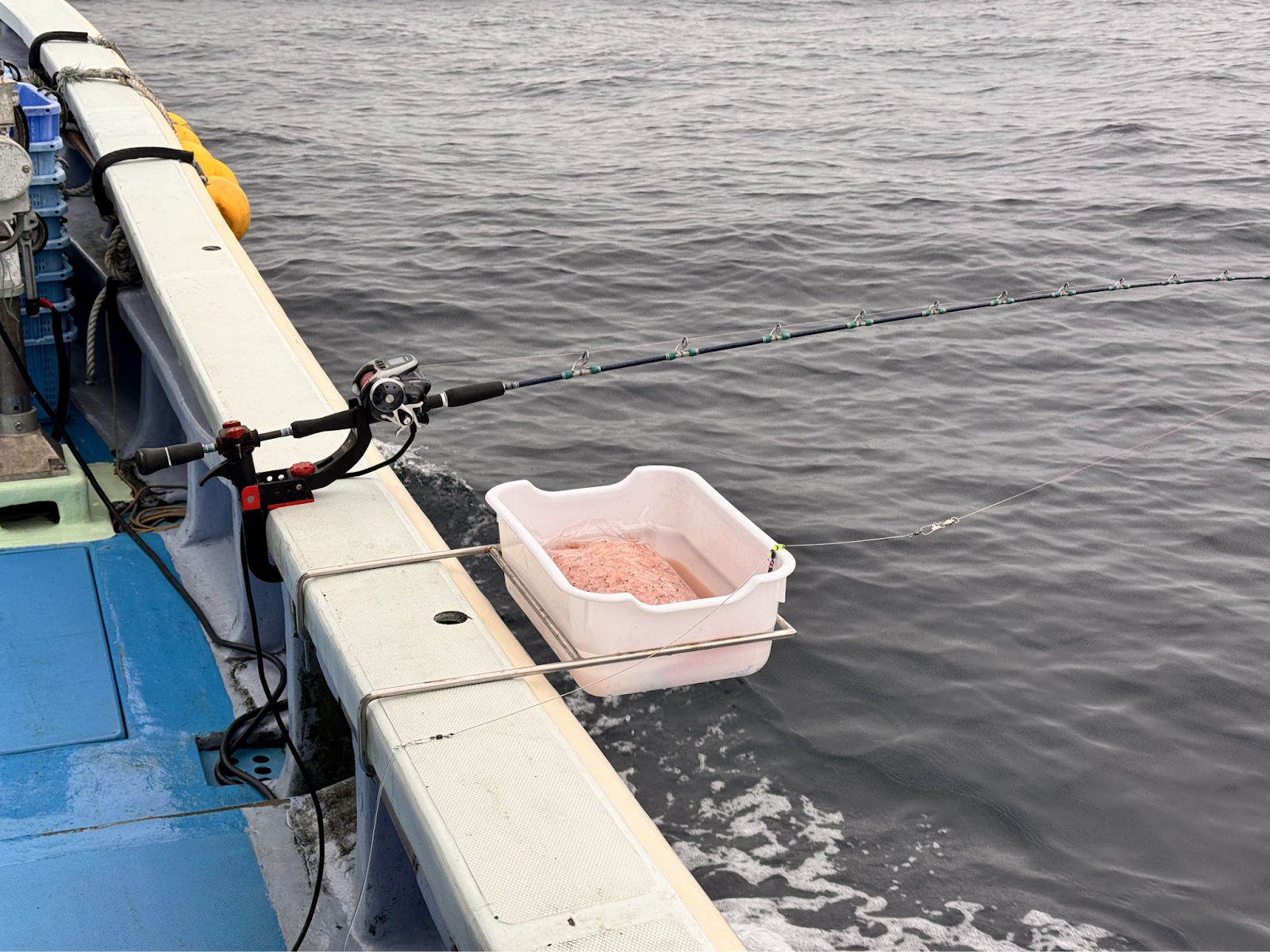 釣り・サーフィン・観光にも影響は?