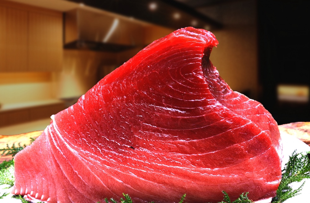 メバチマグロ刺身