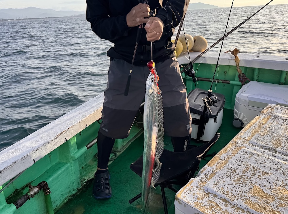 太刀魚の主な釣り方はこの5つ!基本仕掛けをイラスト付きで解説!