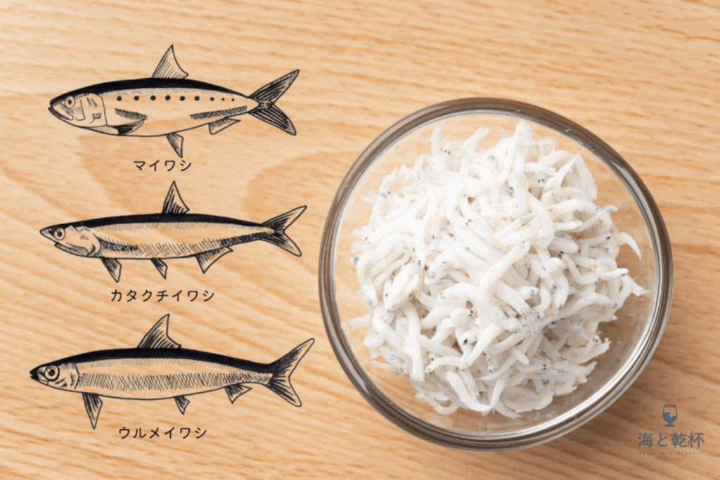 じつは「しらす」は魚の名前じゃない
