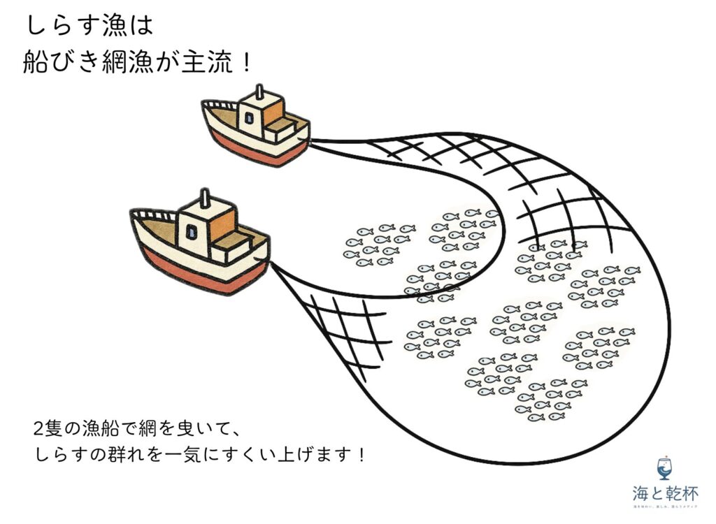 しらす漁の方法