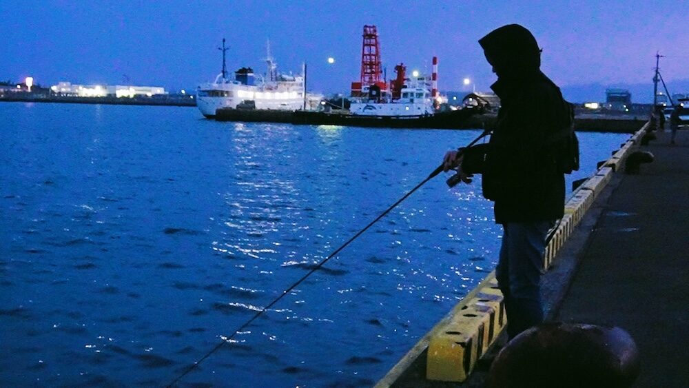 夜釣りの魅力とは?