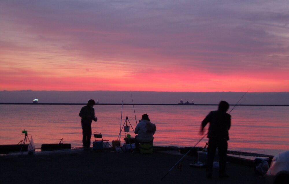 魚の活性時間を狙う|狙いは朝まずめと夕まずめ
