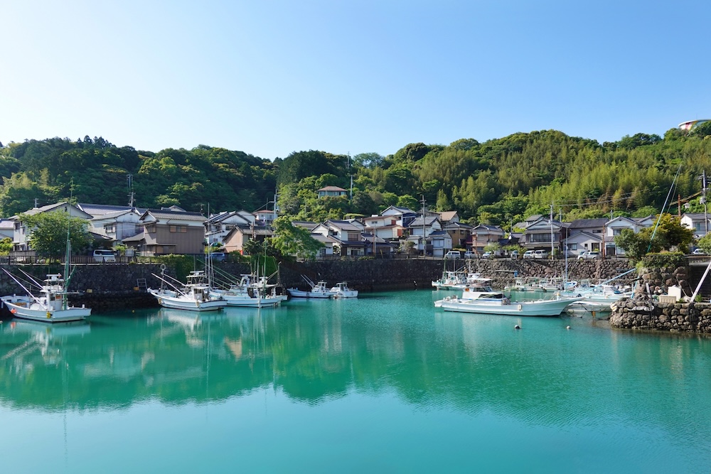港町では魚と日本酒が昔からセットだった