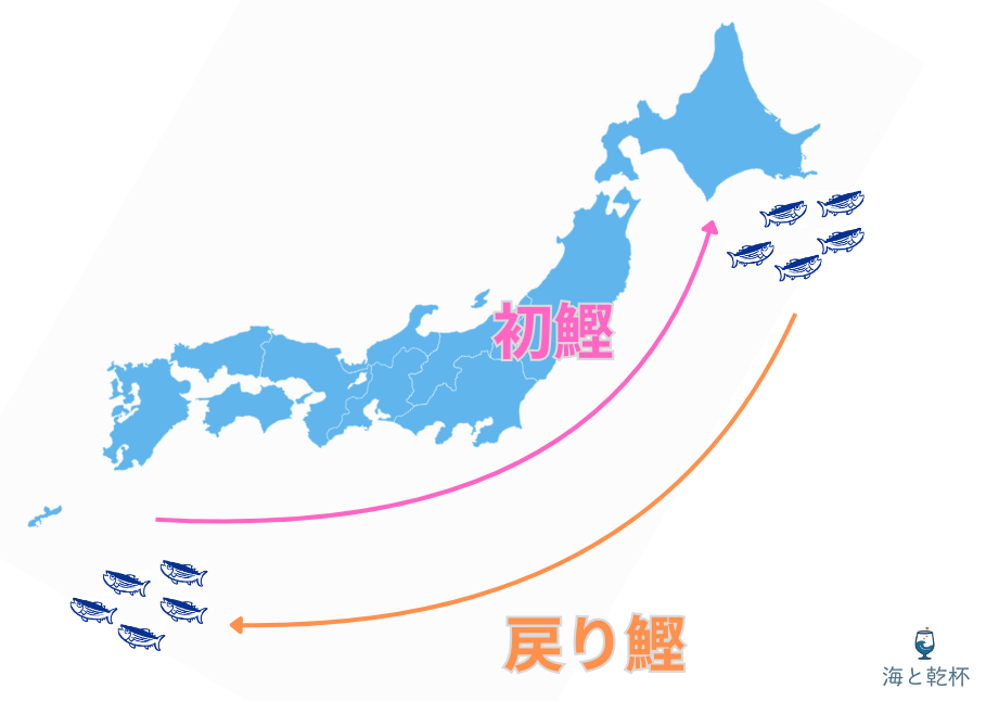 季節ごとに変わる「鰹の旅路」