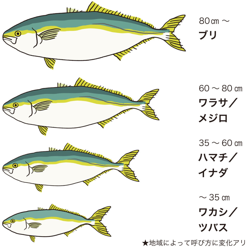 地域(関東・関西)での呼び方の違い