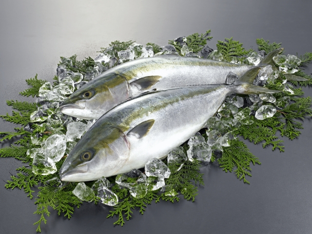 まとめ:糸状虫がいてもブリは食べられる!正しい知識で安心を
