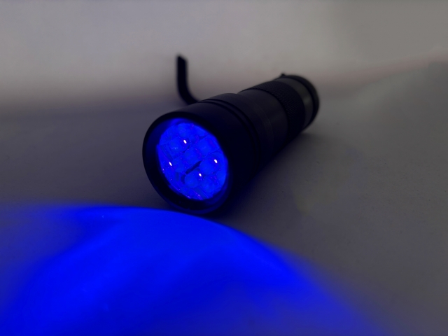 アニサキスライト