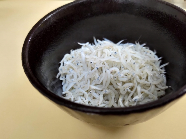 【しらす漁師直伝】しらす冷凍のコツ！解凍・日持ち・おいしいレシピまとめ