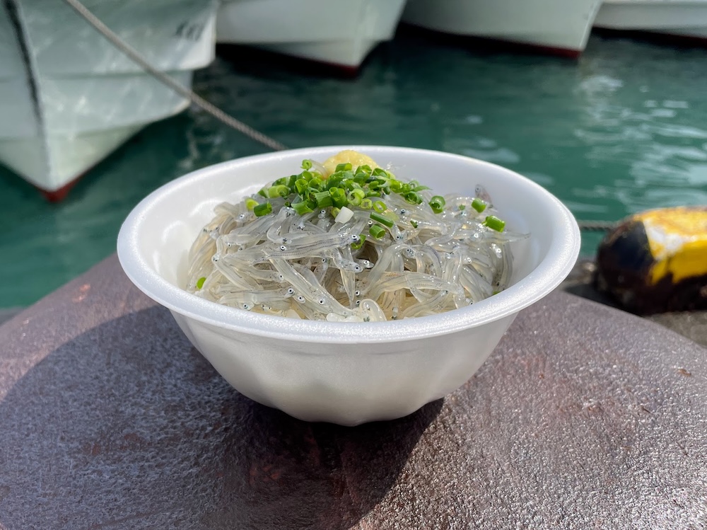 春の生しらすが美味しい理由