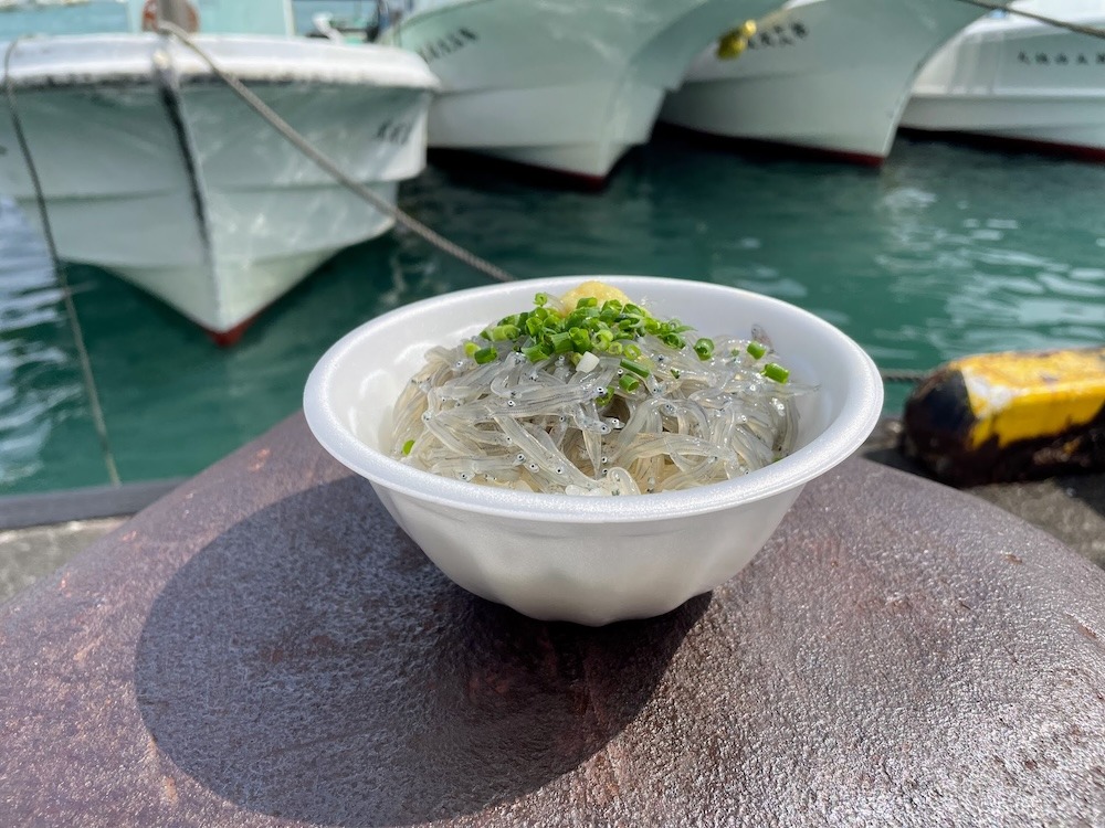 現役しらす漁師が教える、港でおいしい「しらす」を食べるコツ