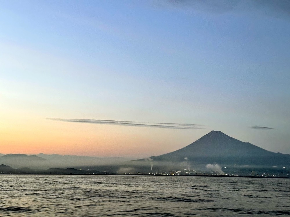 まとめ:静岡の港で味わうしらすは、やっぱり格別