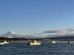 静岡でしらすを食べるならここ！おすすめの漁港と旬の時期を徹底解説
