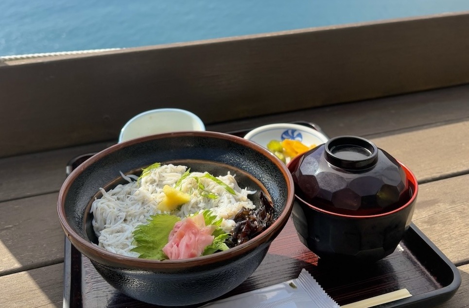 まとめ:今日から作れる、我が家の定番しらす丼