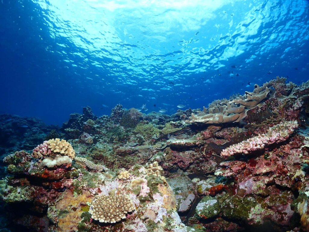 まとめ:海の誕生は、まだ解明中の壮大なミステリー