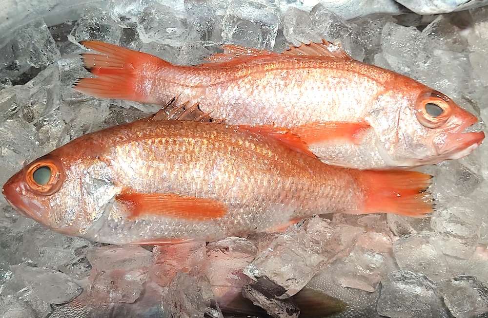 のどぐろ通になれる！なぜ高級？正体からおいしい食べ方まで徹底解説