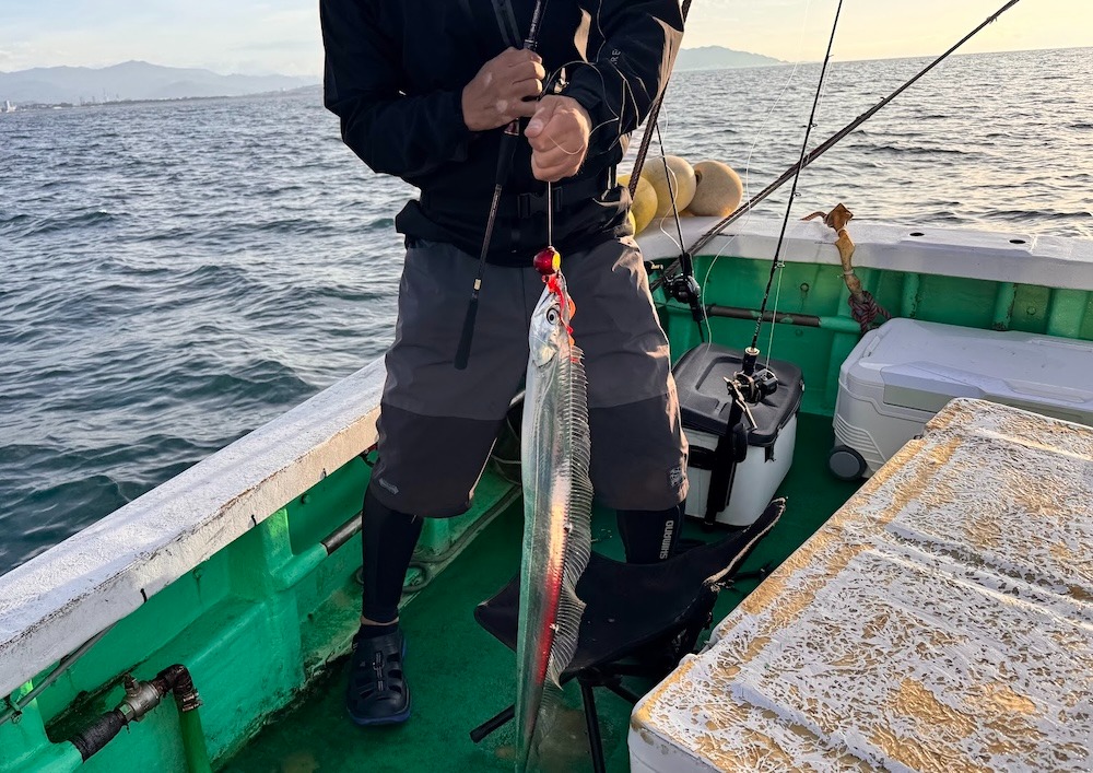 太刀魚釣りって難しい?初心者向け超入門ガイド