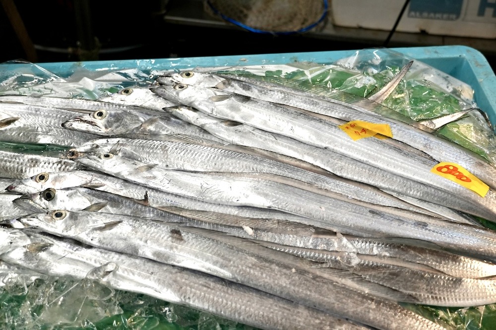 太刀魚の旬・時期はいつ?おいしいシーズンを見極めよう