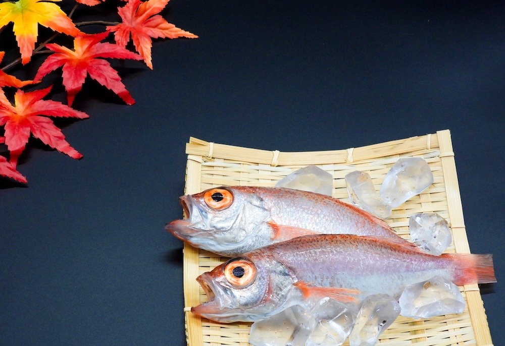 のどぐろの旬はいつ?時期によって楽しみ方が変わる