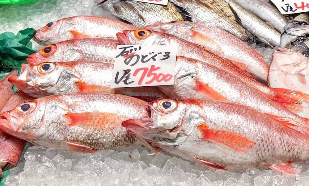 のどぐろはなぜ高級魚なの?