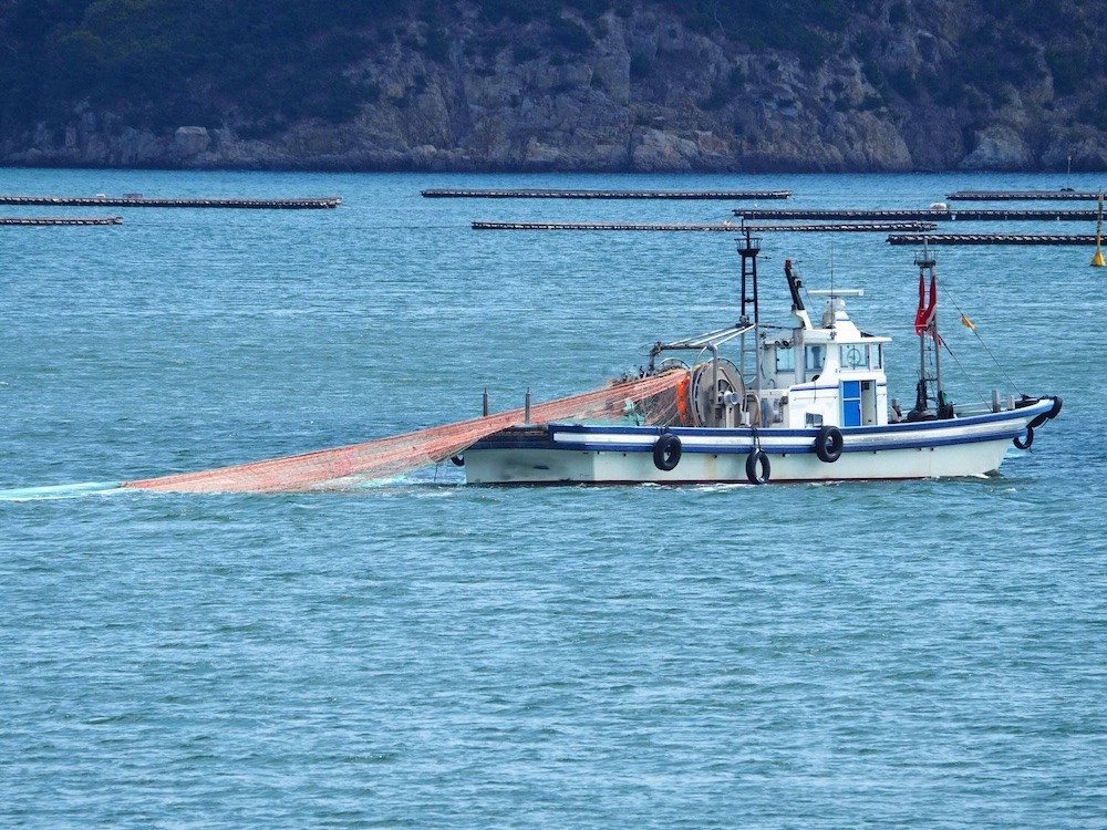 のどぐろが美味しい産地はどこ?産地ごとの魅力を紹介