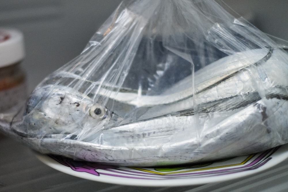 失敗しない!おいしい太刀魚の選び方と保存の基本