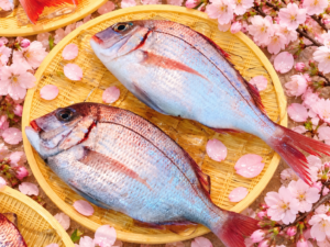 春が旬の魚12選|3月・4月・5月に食べたい魚と魚介類を紹介