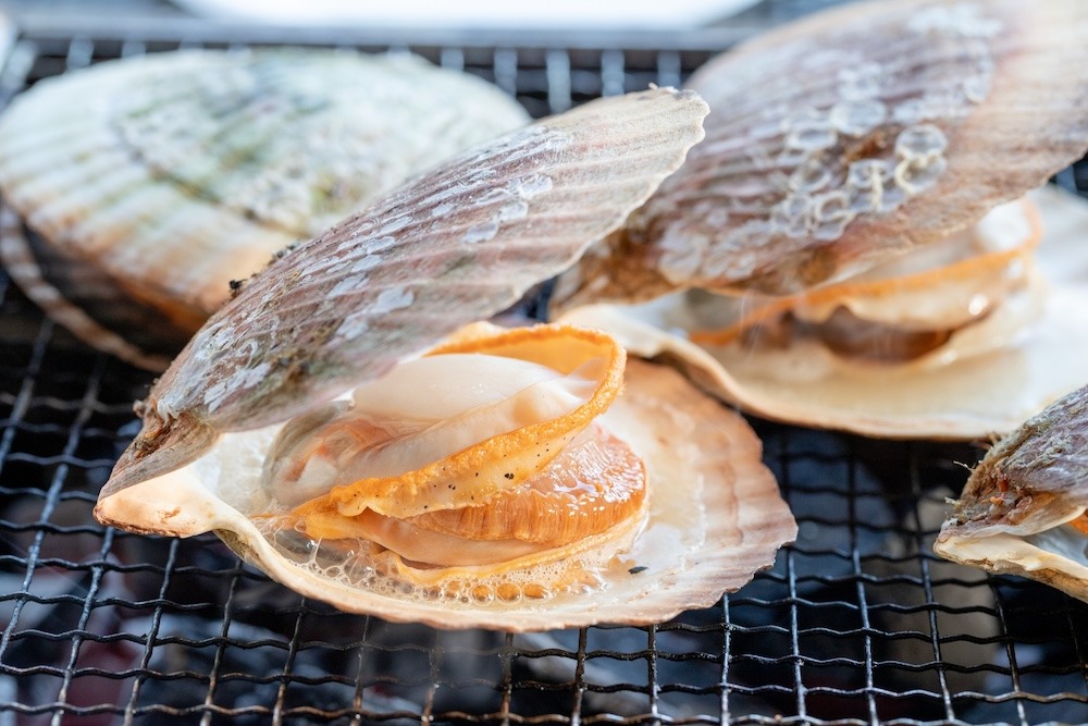 ホタテ|甘みとうま味を楽しむ冬の貝