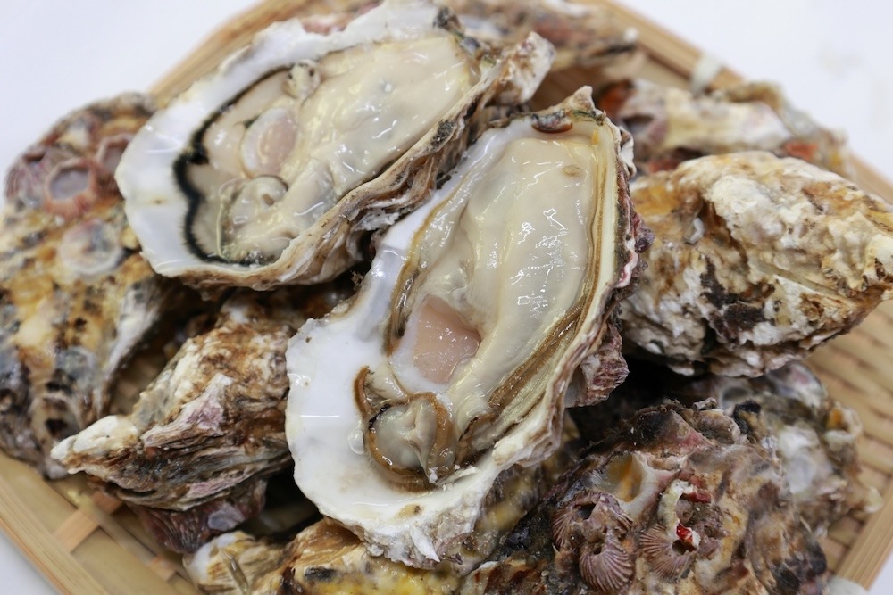 牡蠣|冬に楽しみたい濃厚なうま味