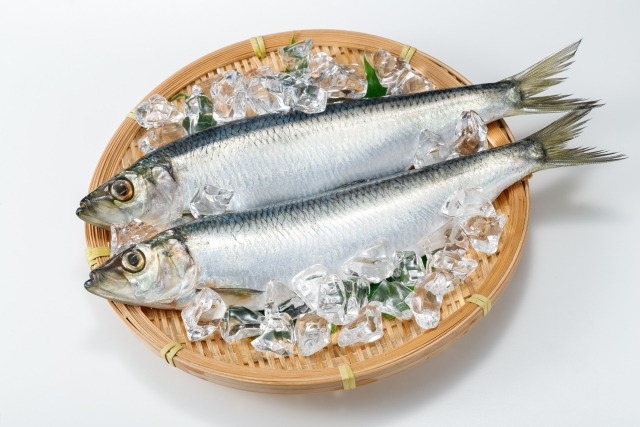 ニシン｜北の海に春を告げる魚