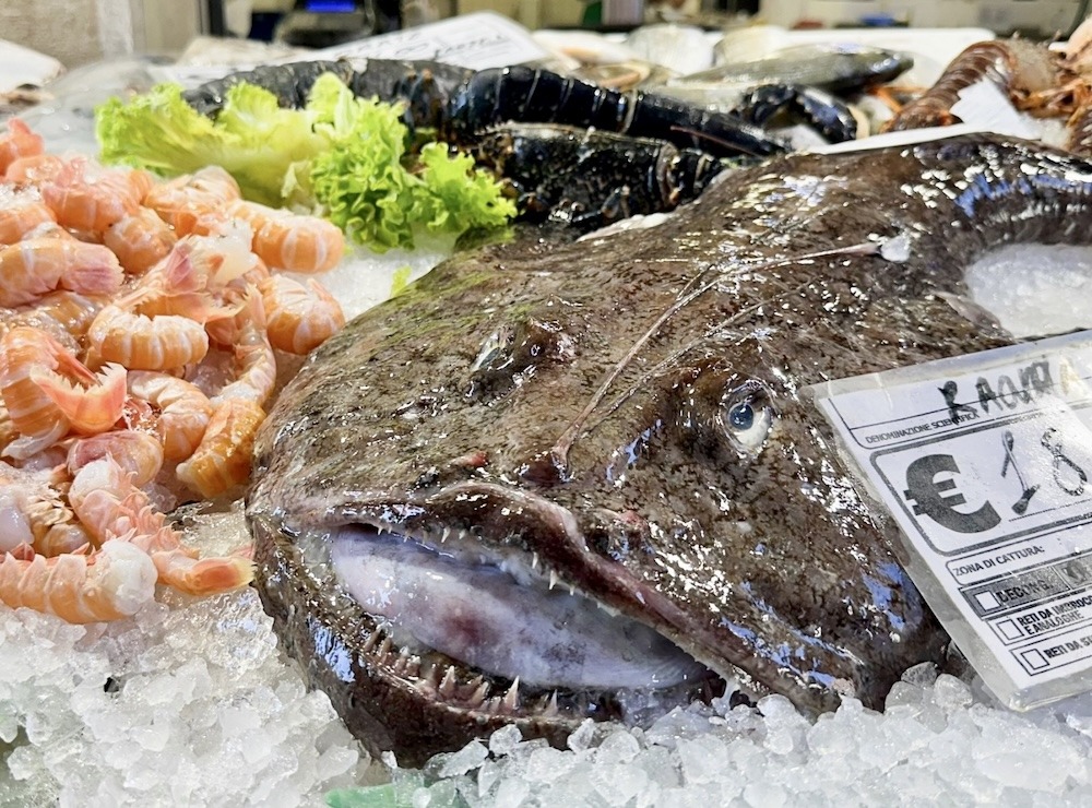 アンコウ|寒い日に食べたい冬の鍋魚