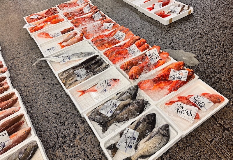 まとめ｜春の旬魚を知れば、いつもの魚売り場がおもしろくなる