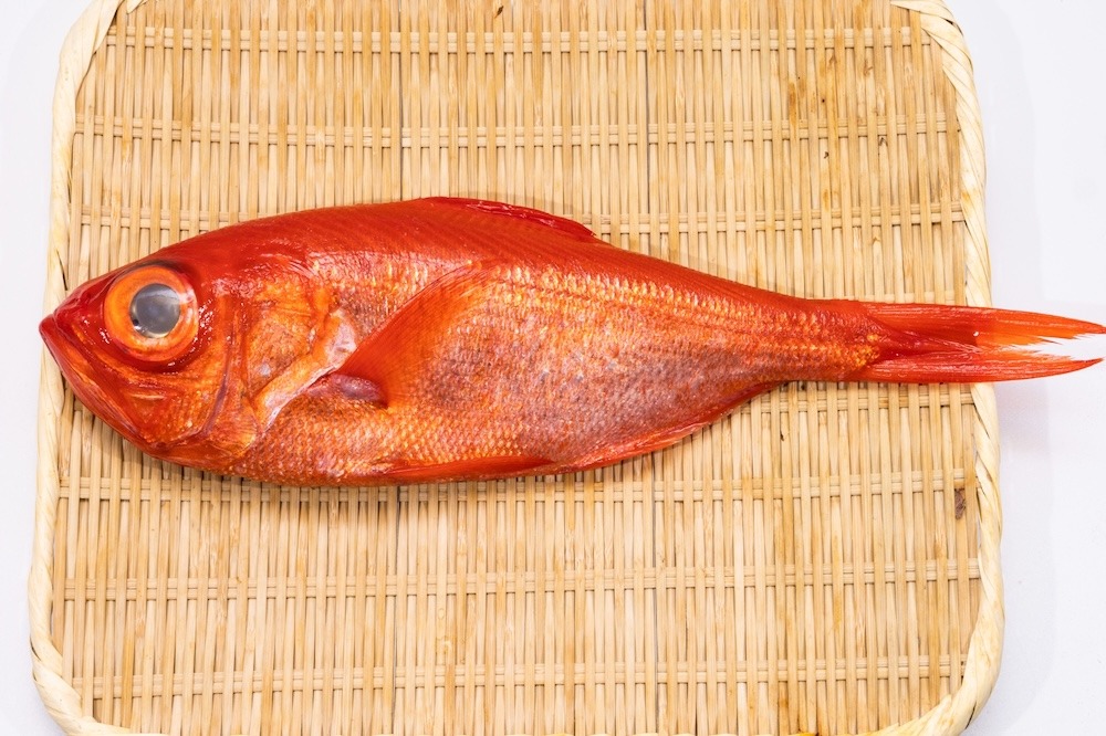 キンメダイ|脂のある身は煮付けにもぴったり