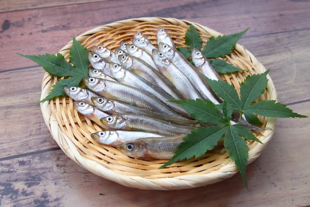 ワカサギ|冬ならではの小魚を丸ごと楽しむ