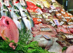 冬が旬の魚完全ガイド｜12月・1月・2月のおいしい魚と魚介類